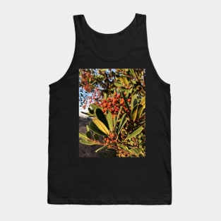 Bright Red Berries in a California Park Tank Top